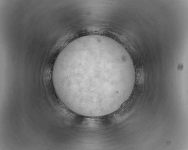 X0000090630713200708141434