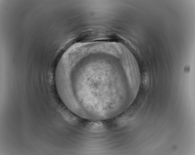 X0000090630715200708141434