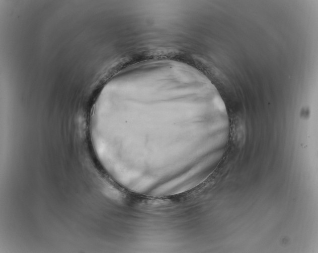 X0000090630716200708141434