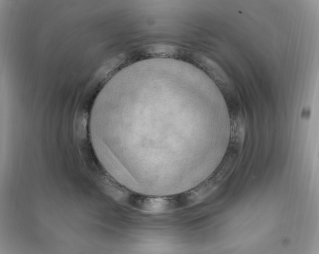X0000090630717200708141434