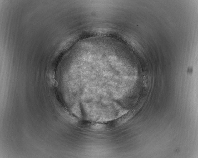 X0000090630718200708141434