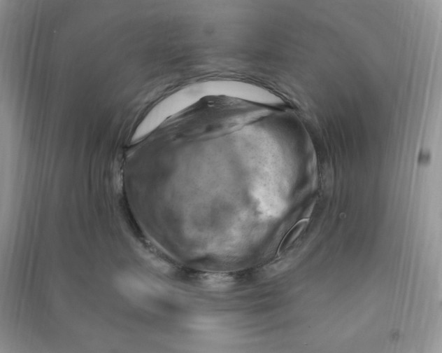 X0000090630719200708141434