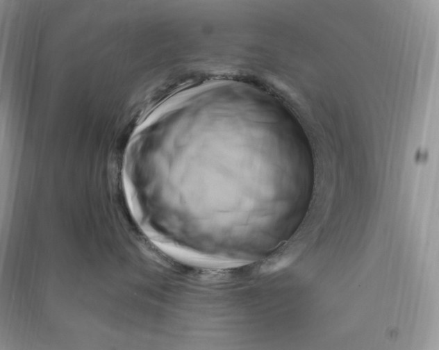 X0000090630720200708141434