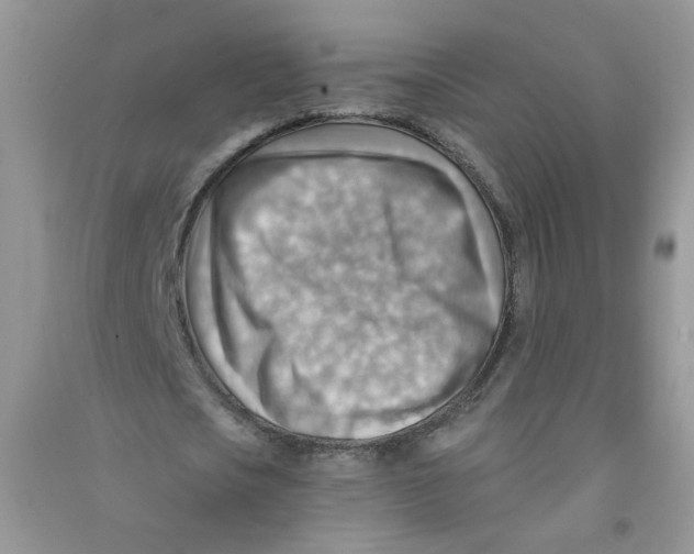 X0000090630721200708141433
