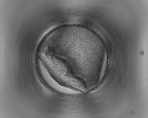 X0000090630722200708141433