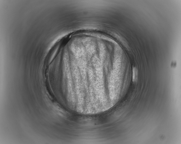 X0000090630723200708141433