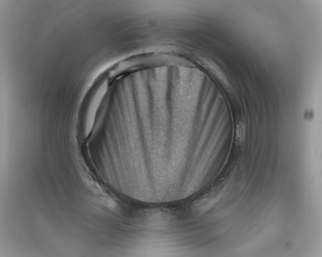 X0000090630724200708141433
