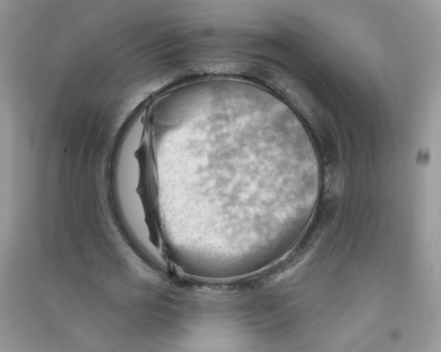 X0000090630725200708141433