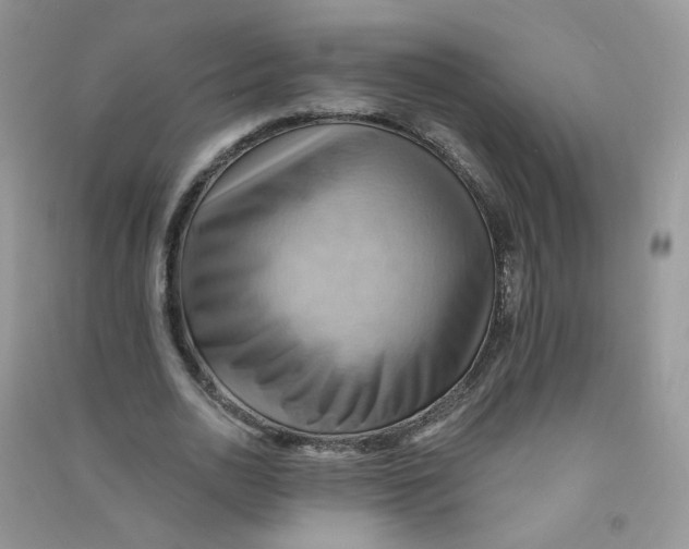 X0000090630726200708141433