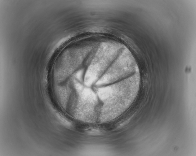 X0000090630727200708141433
