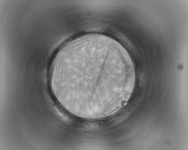 X0000090630729200708141433