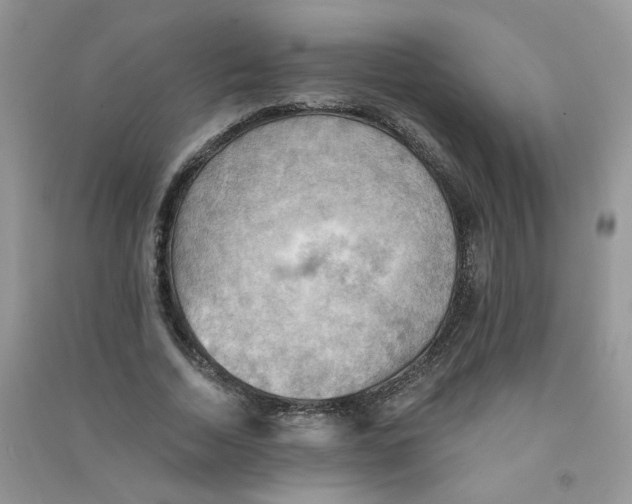 X0000090630730200708141433