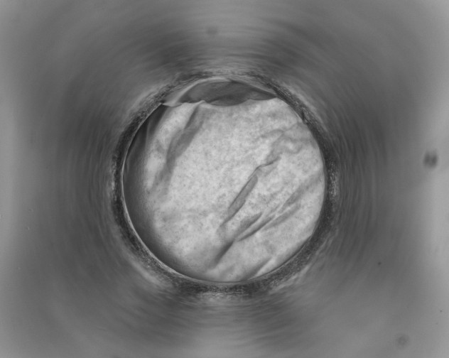 X0000090630733200708141434