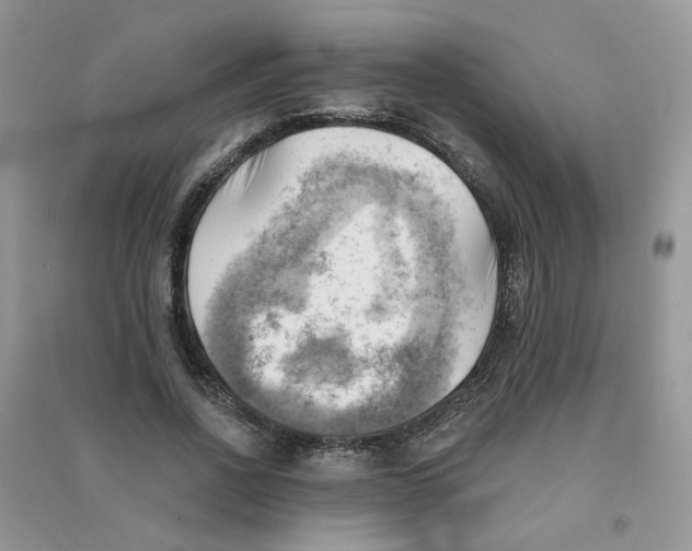X0000090630734200708141434