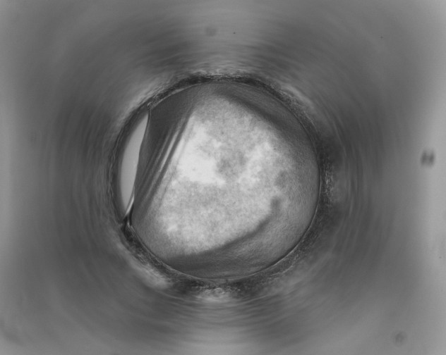 X0000090630735200708141434