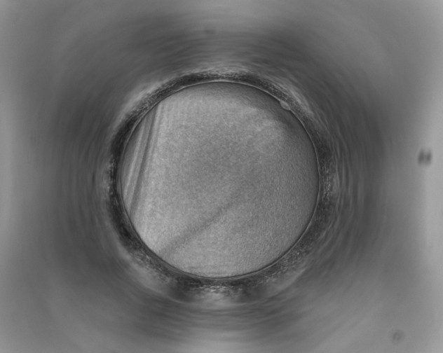 X0000090630736200708141434