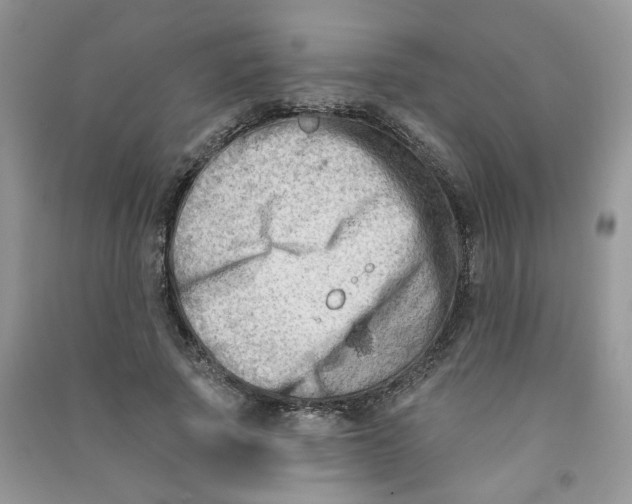 X0000090630737200708141434
