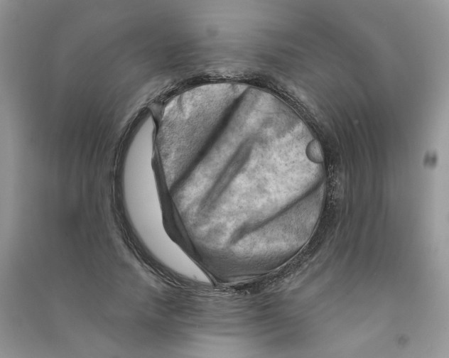 X0000090630738200708141434