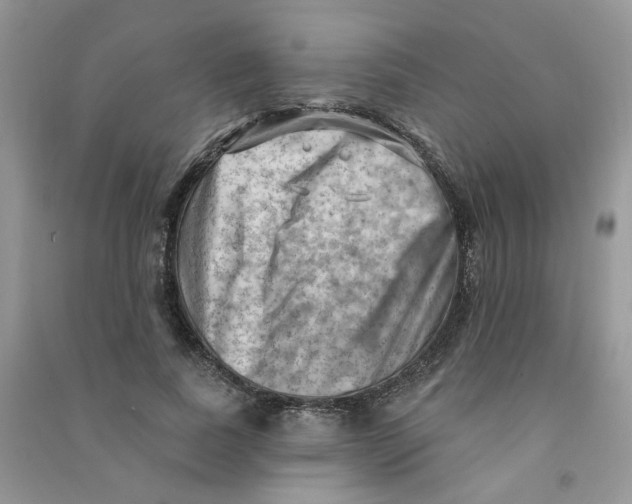 X0000090630739200708141434