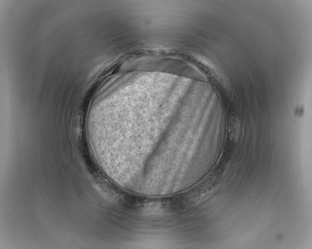 X0000090630740200708141434