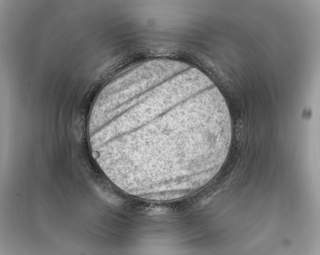 X0000090630741200708141434