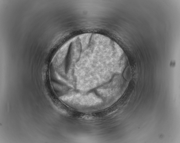 X0000090630742200708141434