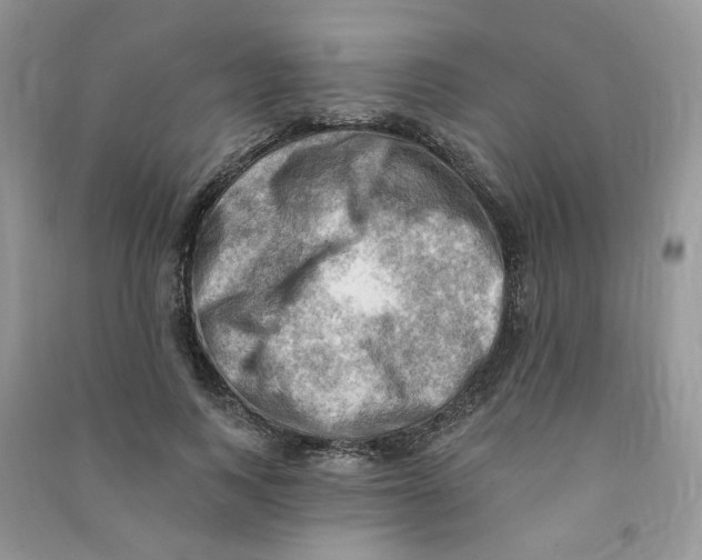 X0000090630743200708141434