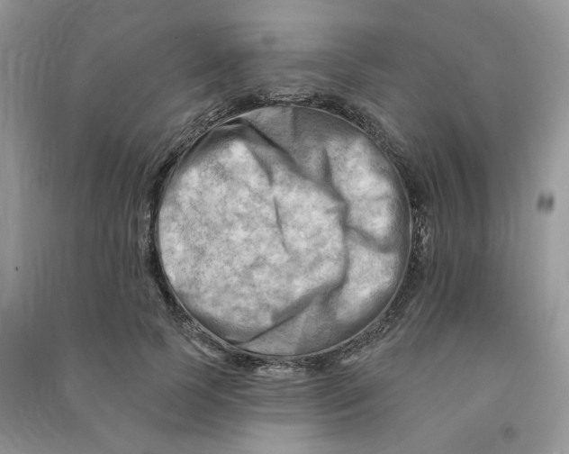 X0000090630745200708141434