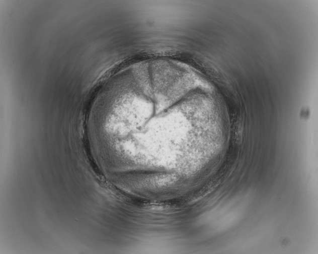 X0000090630746200708141434