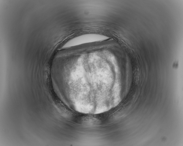 X0000090630747200708141434