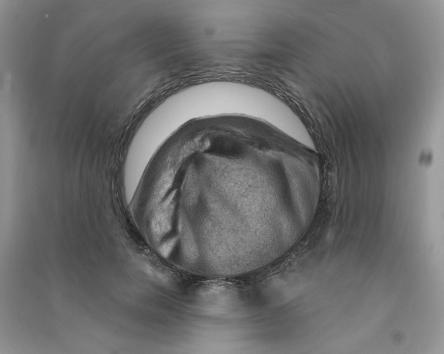 X0000090630750200708141434