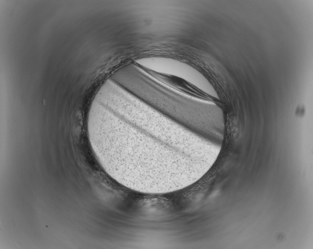 X0000090630752200708141434