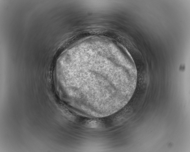 X0000090630755200708141434
