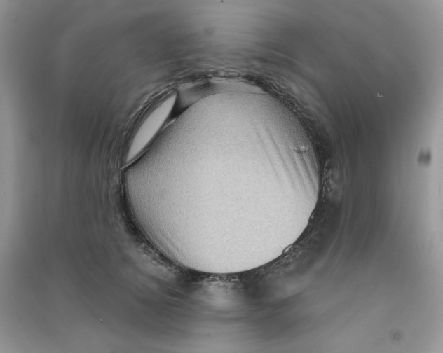 X0000090630756200708141434