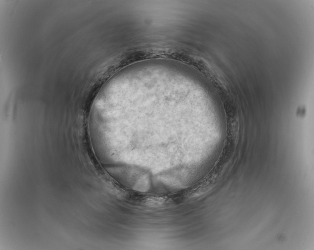 X0000090630757200708141434