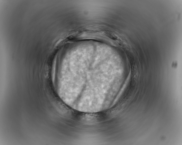 X0000090630758200708141434