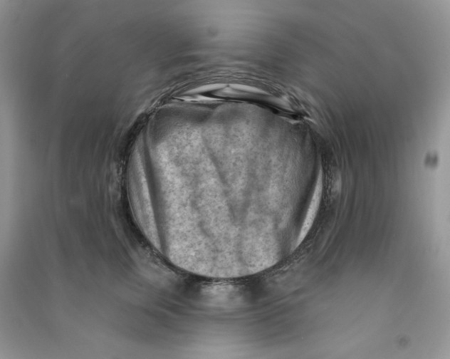 X0000090630759200708141434
