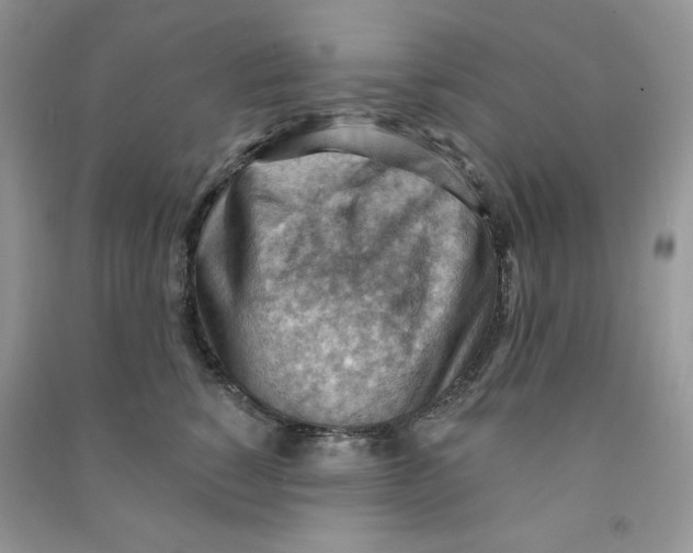 X0000090630760200708141434