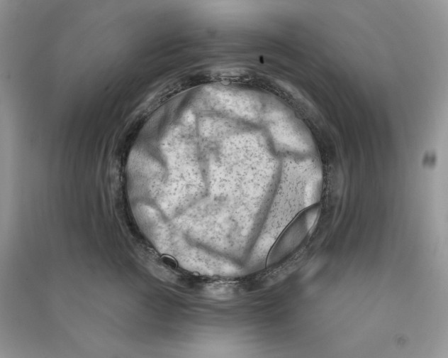 X0000090630761200708141434