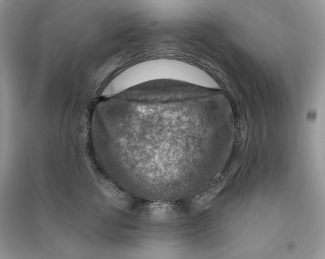 X0000090630762200708141434