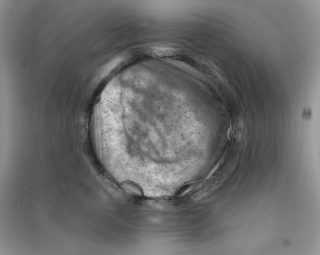 X0000090630763200708141434