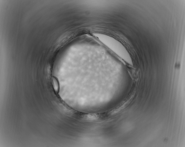 X0000090630765200708141434