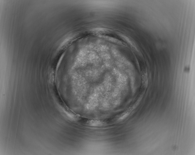 X0000090630766200708141434