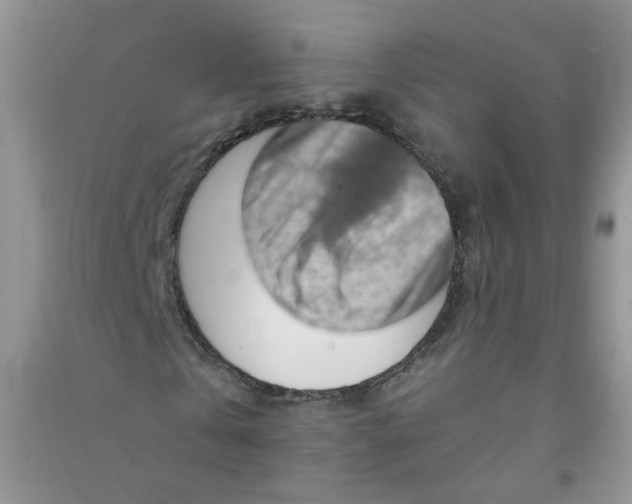 X0000090630769200708141433