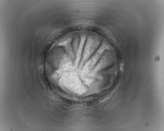 X0000090630771200708141433