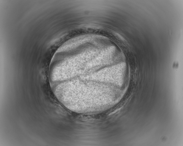 X0000090630774200708141433