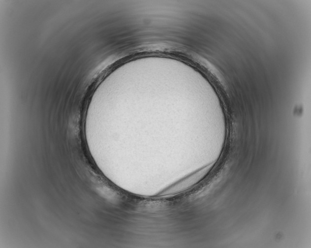 X0000090630778200708141433