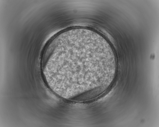 X0000090630779200708141433
