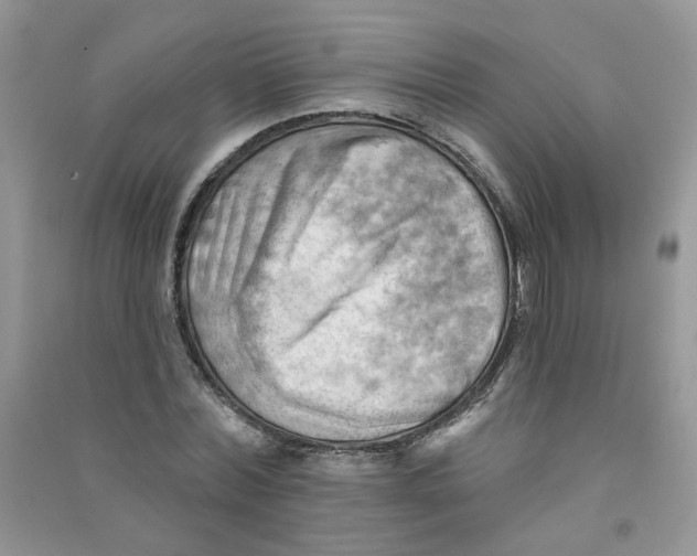 X0000090630780200708141433