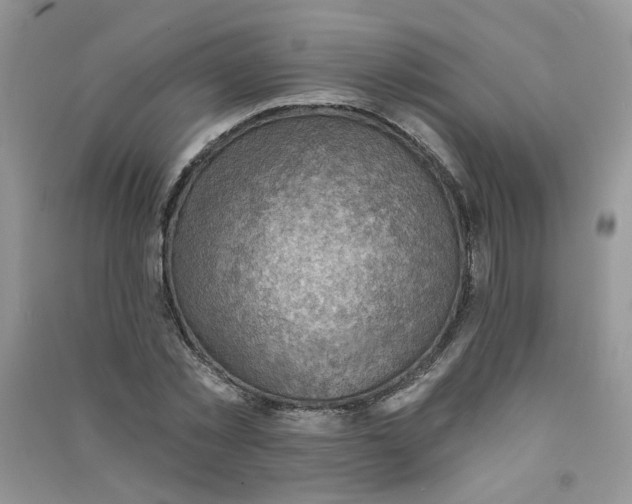 X0000090630781200708141433